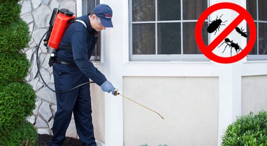 Bozova Hamam Böceği İlaçlama böcek ilaçlama ve haşere kontrolü — ilaclama-tr.com